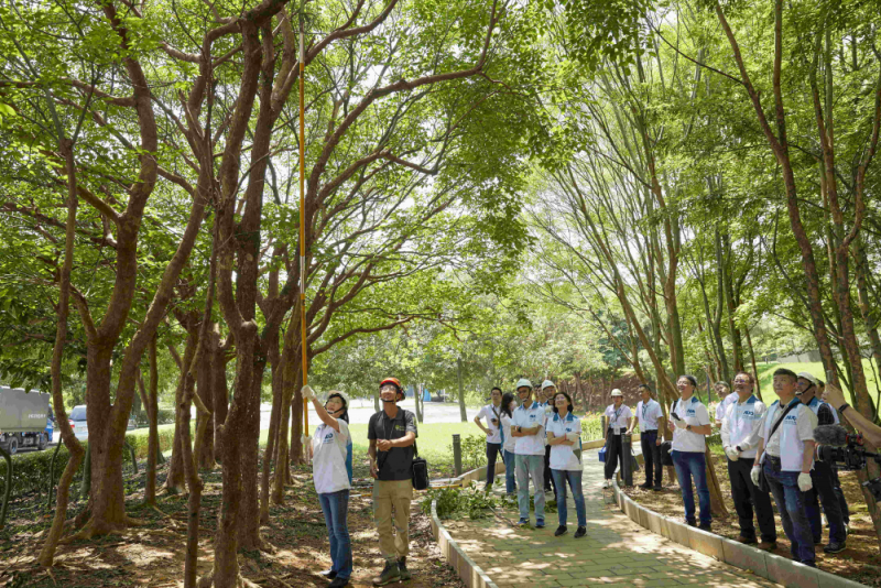 藝師教導大家認識樹木、檢查樹的健康狀況，學習修枝及碎枝覆土