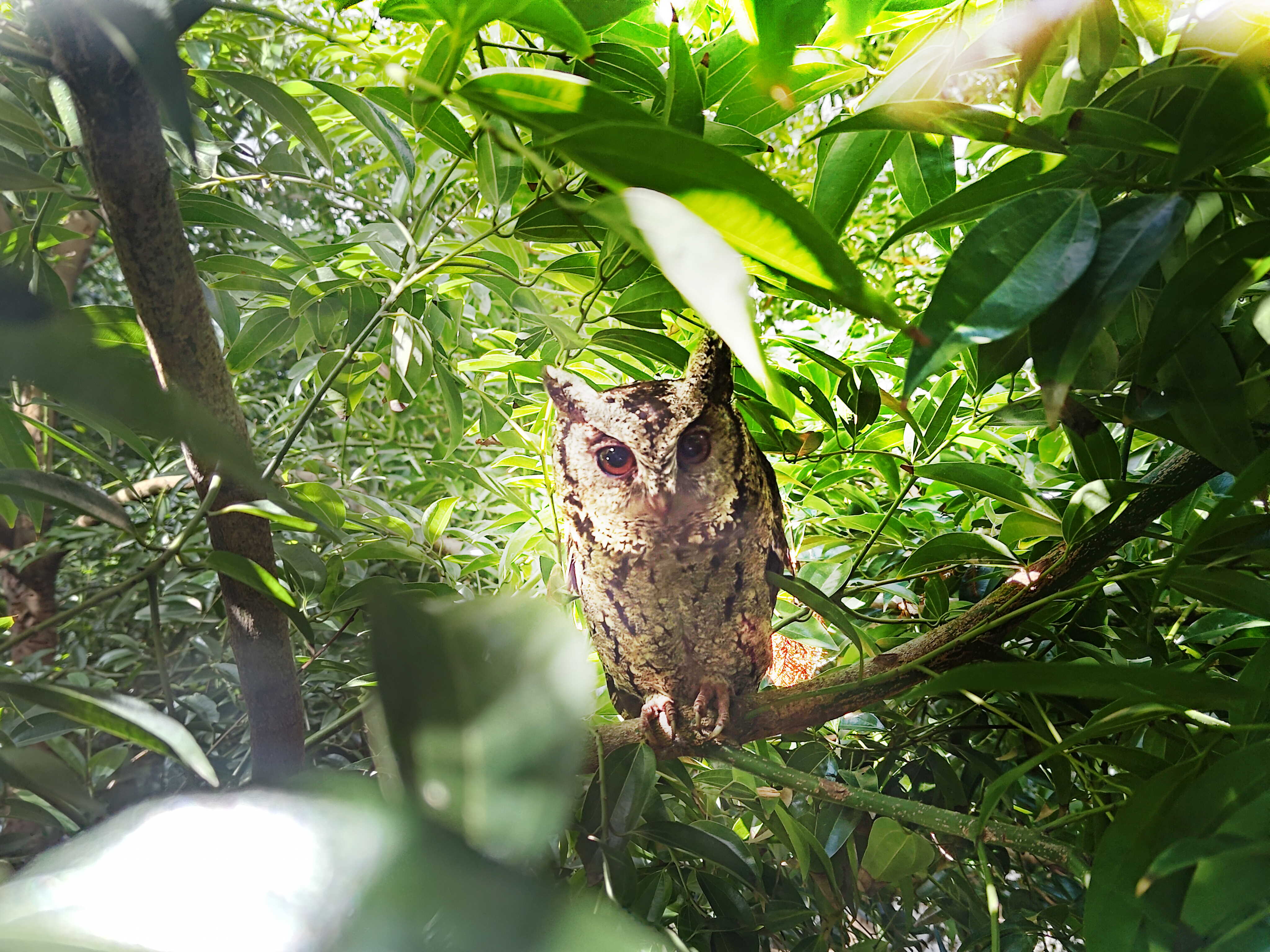 beats365致力提倡净零绿生活，16年以来在全球各厂区植树逾百万棵，造就各厂区树木蔚然成林，犹如森林工厂，成为许多生物的栖息地